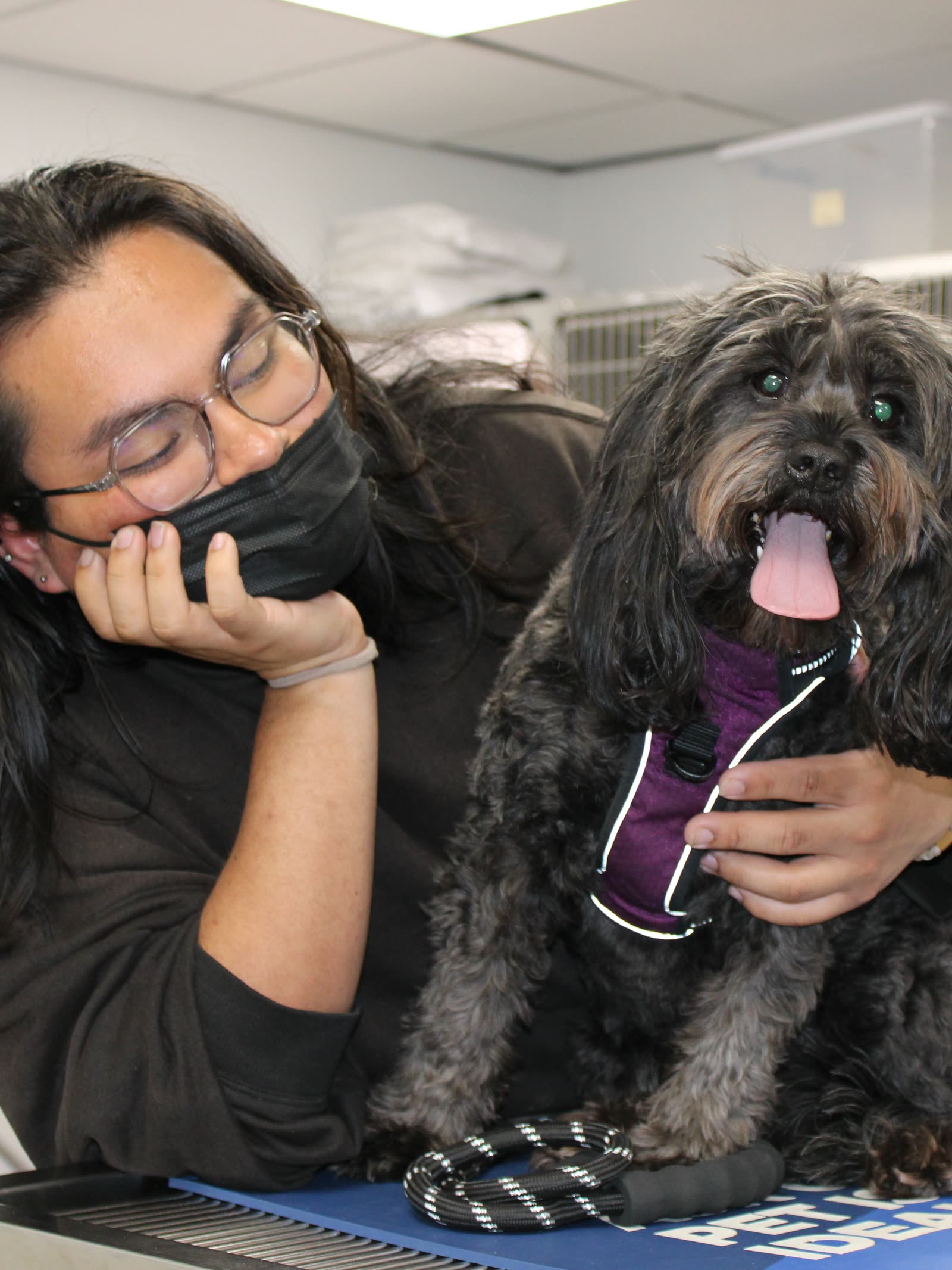 Clifton Ave Animal Hospital team member Alexis beside a small dark dog grinning on the treatment table
