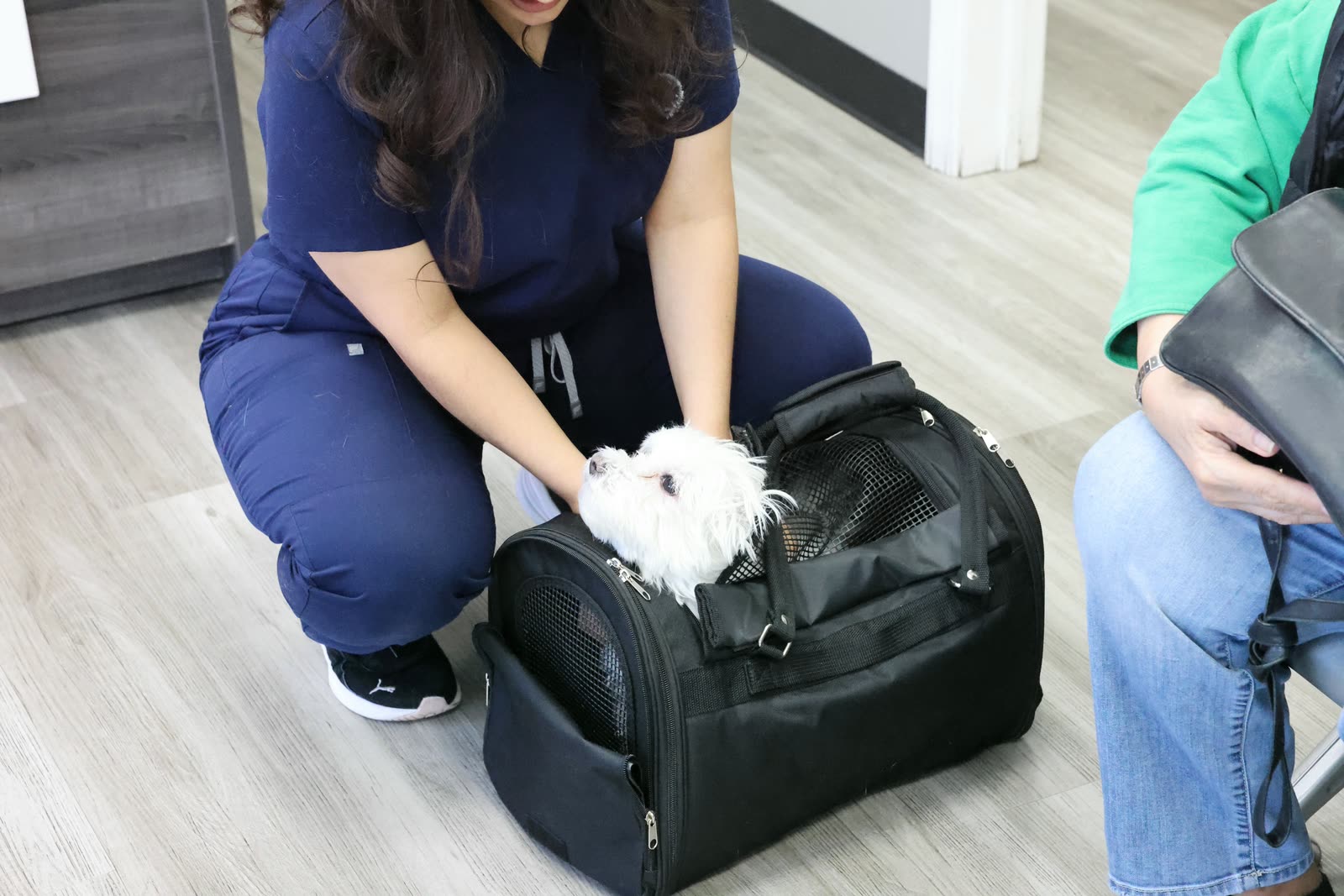 A veterinary technician kneeling to greet a small dog in its carrier in the Clifton Ave Animal Hospital lobby