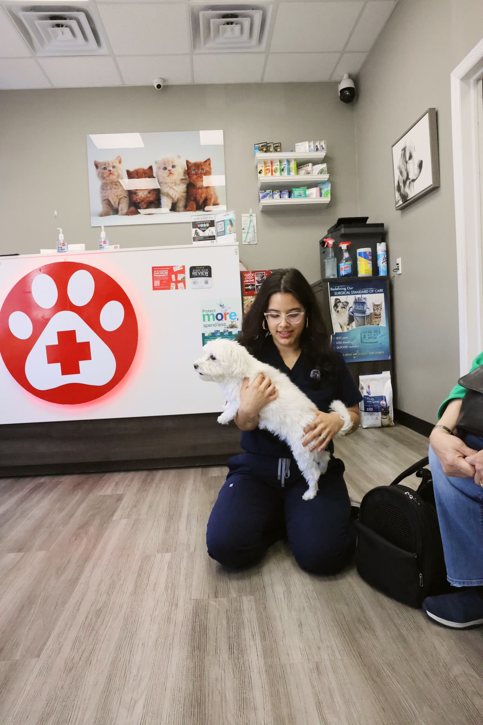 A veterinary technician holding a small dog in the Clifton Ave Animal Hospital lobby, beside the reception desk with the CAAH paw logo