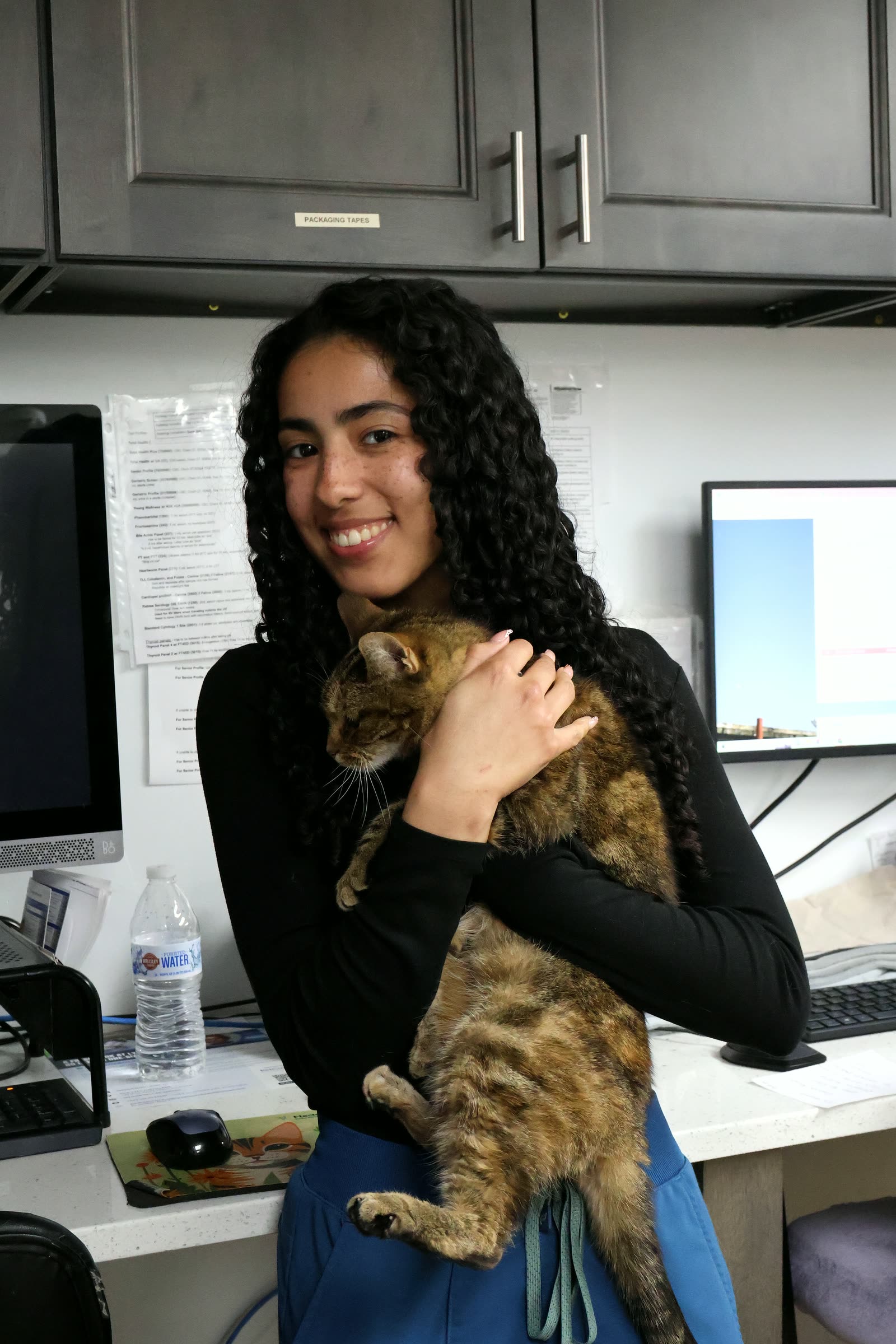 A Clifton Ave Animal Hospital team member holding the clinic cat at a treatment-area workstation