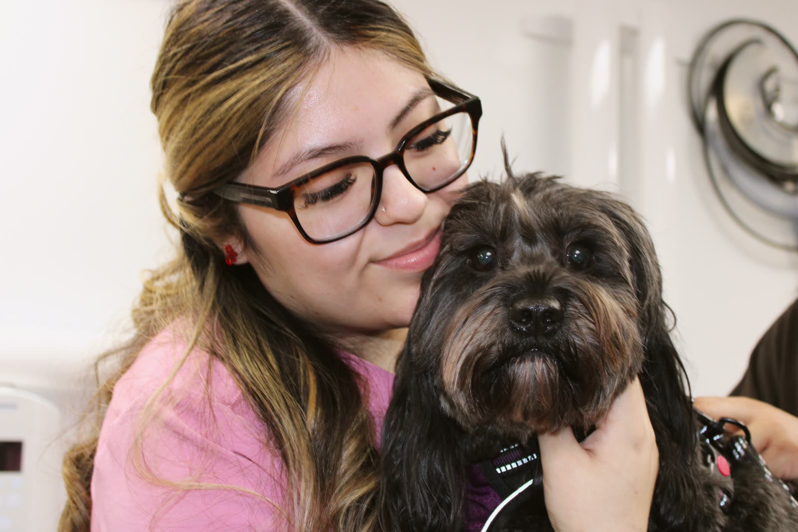 A Clifton Ave Animal Hospital team member hugging a small dog during a visit