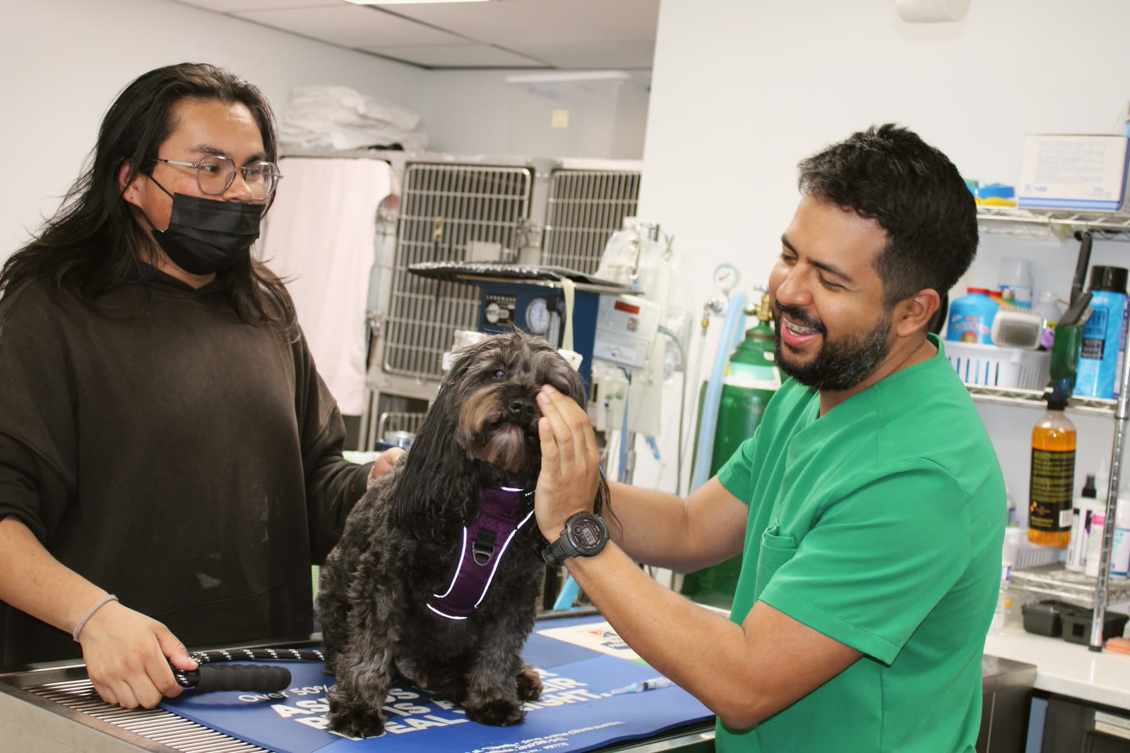 Clifton Ave Animal Hospital team members attending to a small dog on the treatment table