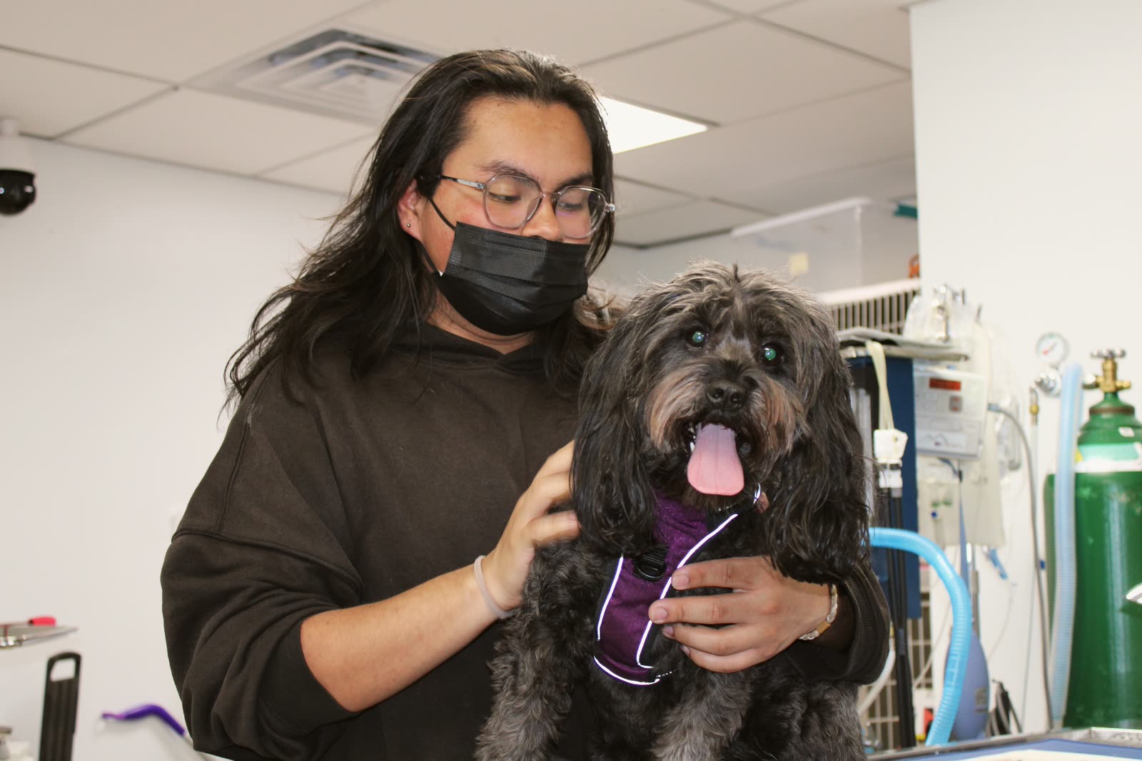 A happy small dog held by a Clifton Ave Animal Hospital team member during a visit