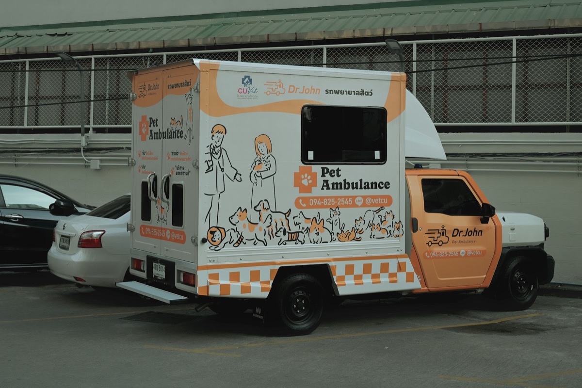 A white and orange pet ambulance truck with animal illustrations.